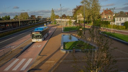 Traverse Dieren