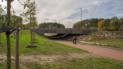 Traverse Dieren