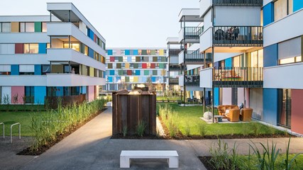 Im Vieri / Social Housing