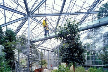 Plantenkas Hortus Botanicus, Amsterdam