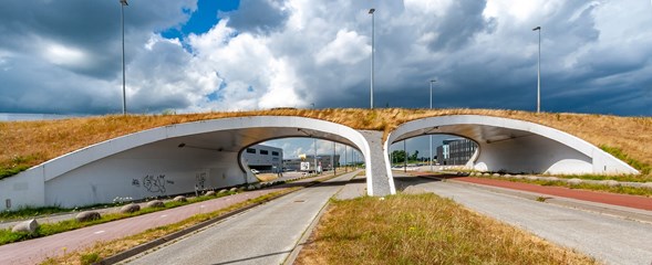 Viaducten Flight Forum, Eindhoven