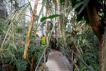 Hortus Botanicus, Amsterdam