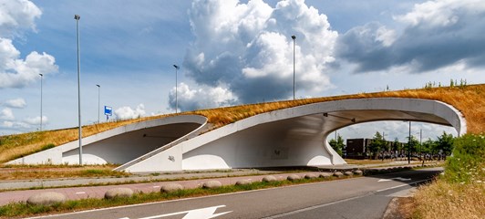 Viaducten Flight Forum, Eindhoven