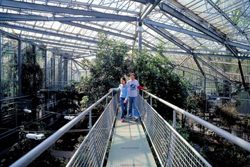 Hortus Botanicus, Amsterdam