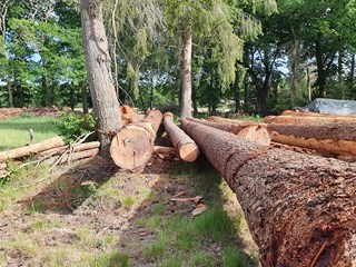 Autarkische natuurwoning Voorthuizen