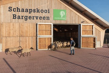 Schaapskooi Bargerveen