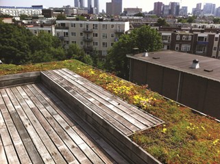 On top of Rotterdam