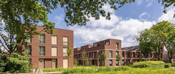 De Gebroeders, Deelplan De Lodewijk
