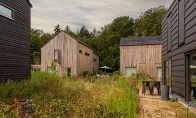 Cabins in the Wood