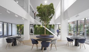 Main image of project