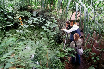 Hortus Botanicus, Amsterdam