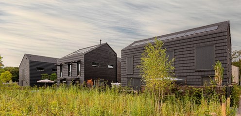 Cabins in the Wood