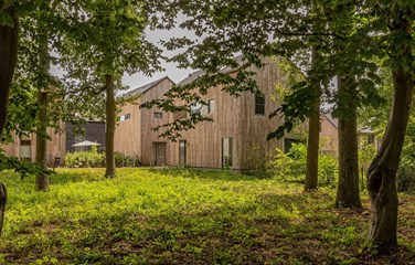 Cabins in the Wood