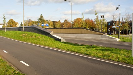 Traverse Dieren