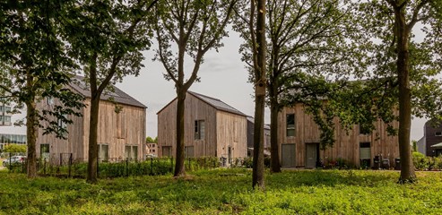 Cabins in the Wood