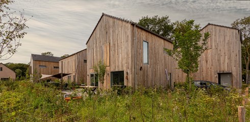 Cabins in the Wood