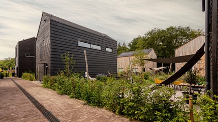 Cabins in the Wood